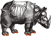 Dürer's Rhinoceros